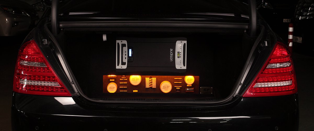 Главный пассажир (Mercedes-Benz S-Class (W221) )